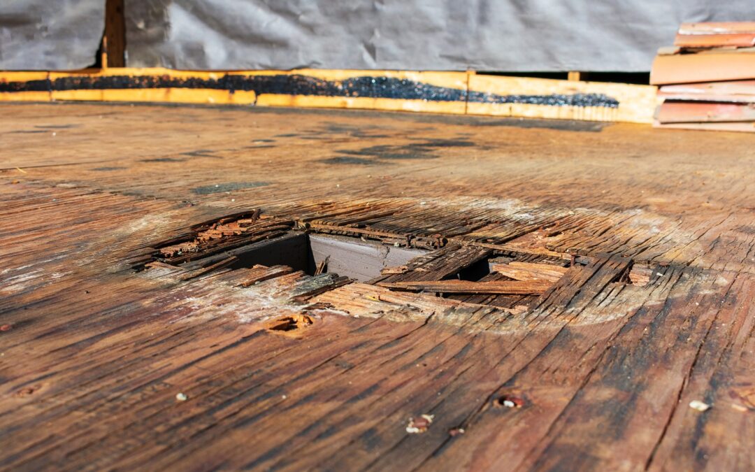 East Hartford, CT | Wood Rot Repair, Wood Damage Restoration